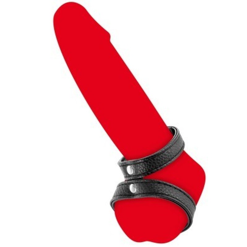 Fetish double cock ring