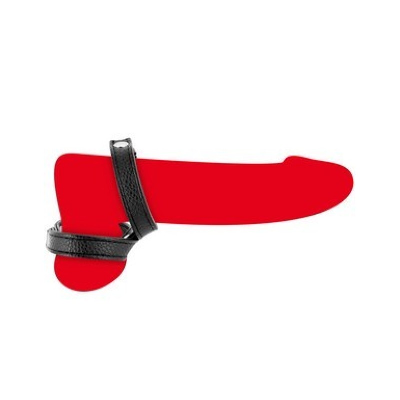Fetish double cock ring