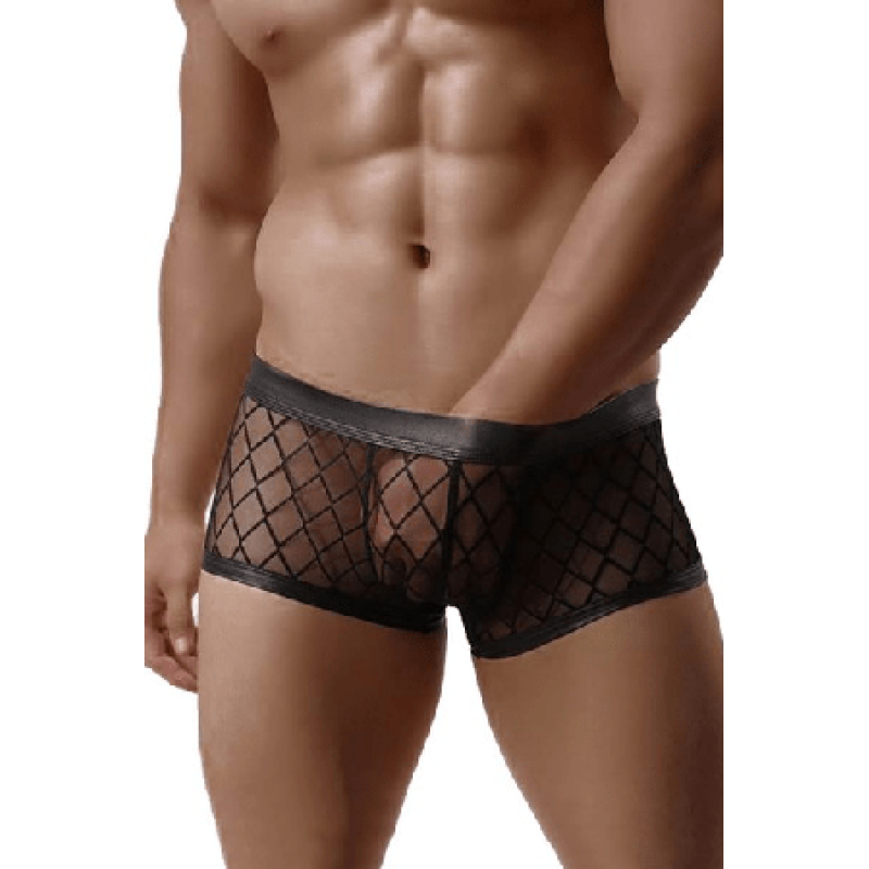 Boxer transparent black l