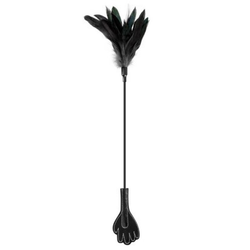 Bic erotski sapica