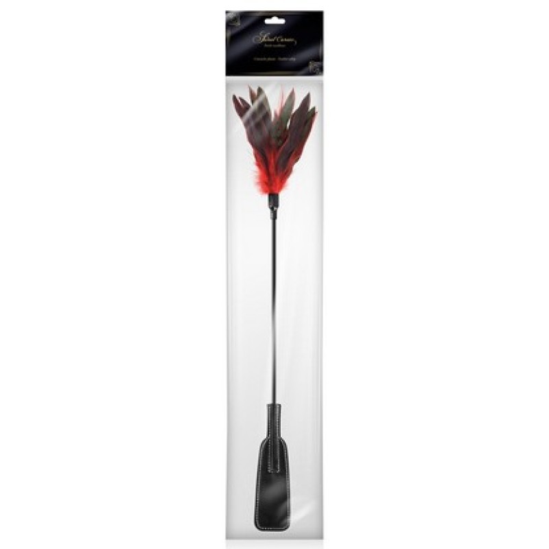 Bic erotski tapete