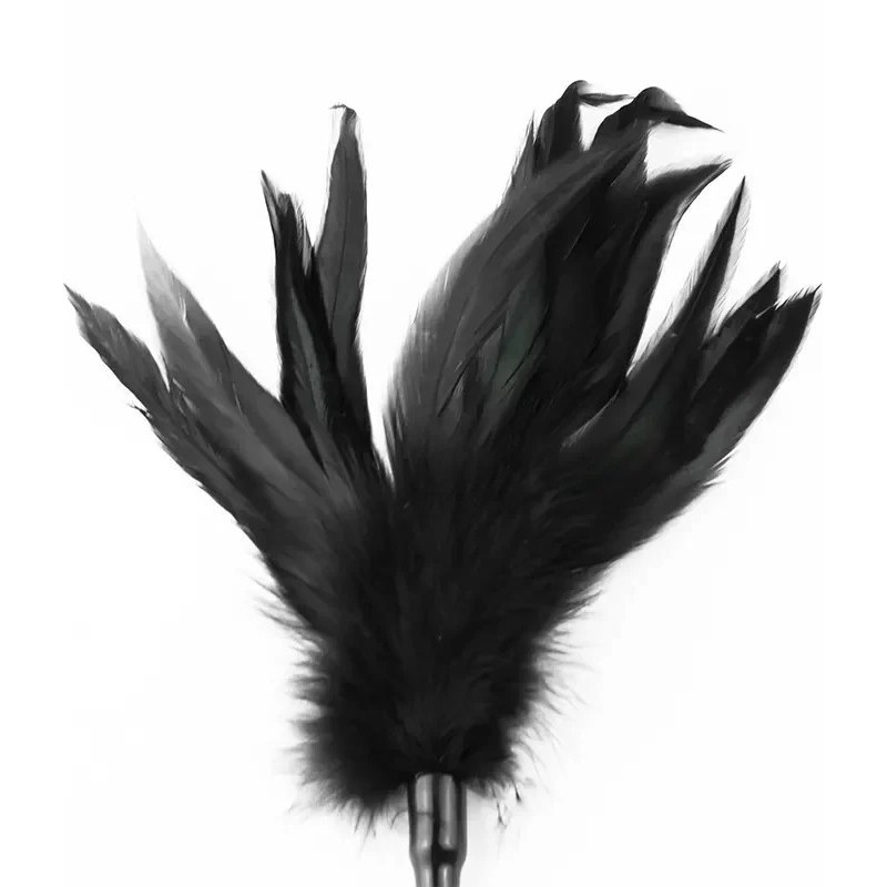 Bic i peruska